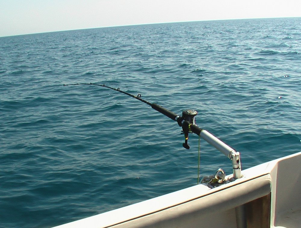 Bateau porte-canne à pêche à partir